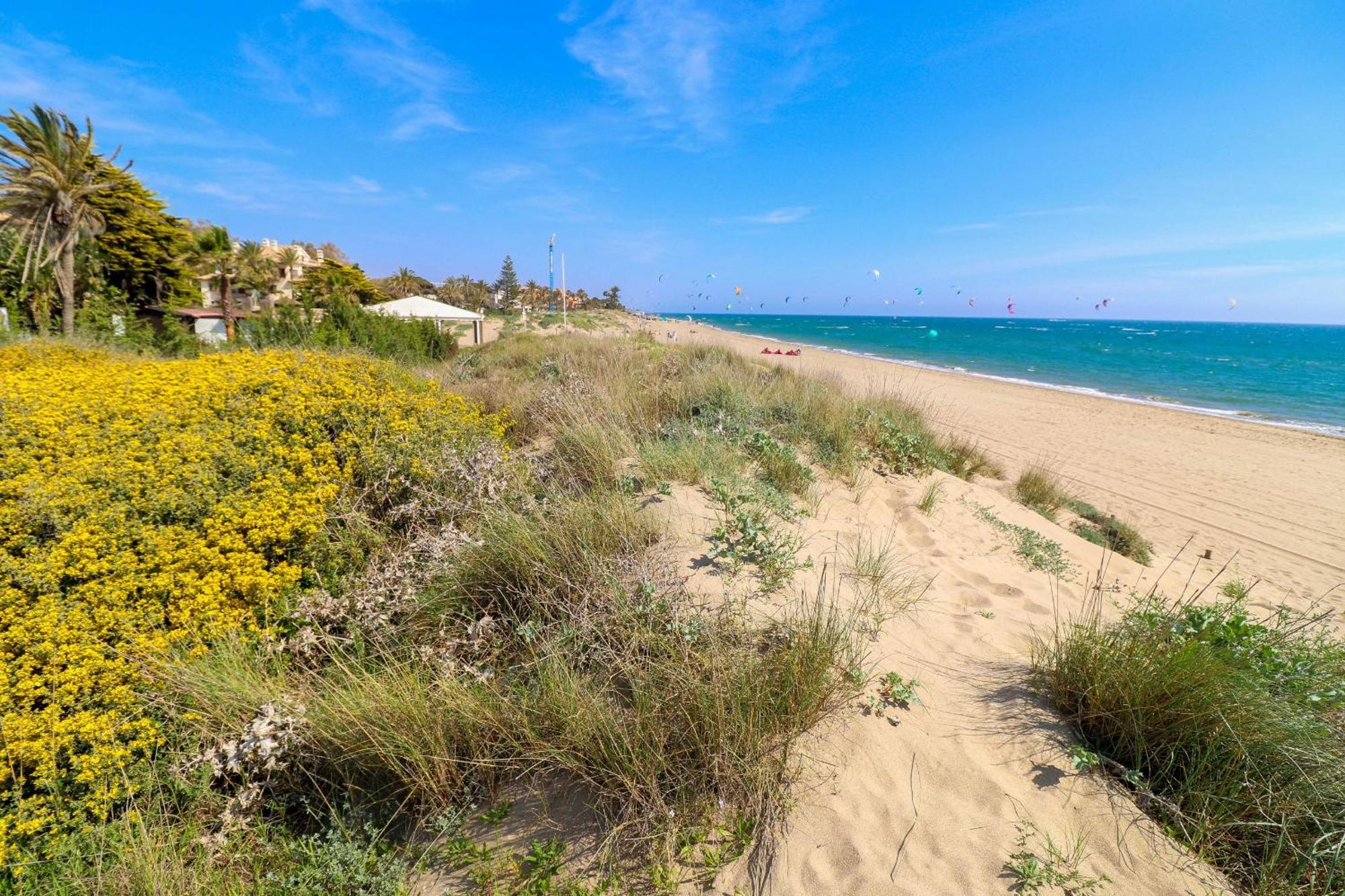 Beachfront - Los Monteros Palm Beach Apartamento